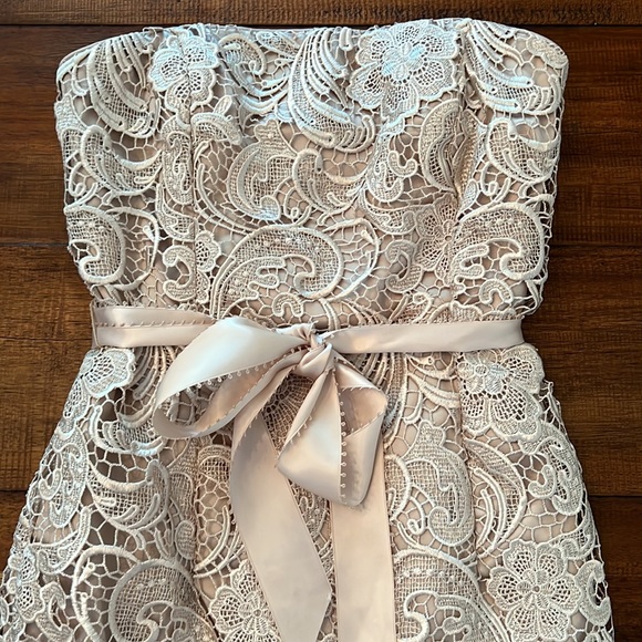 Adrianna Papell- Strapless, Laced Cocktail Dress- Sz 4 - Picture 4 of 8